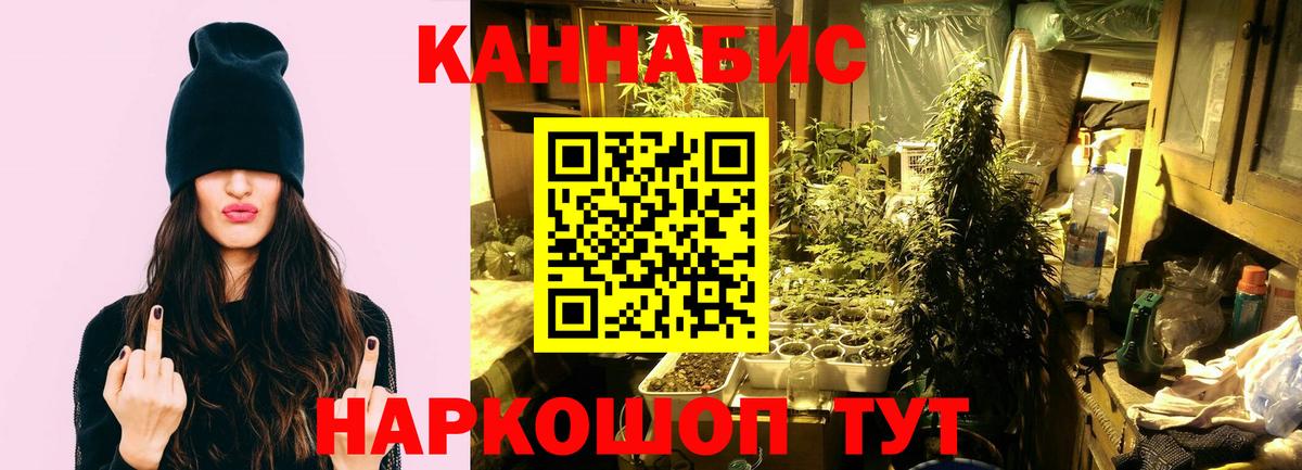 Конопля конопля  Шишки марихуана семена  Ессентуки  Вход с VPN 